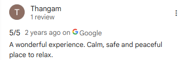 Google Review